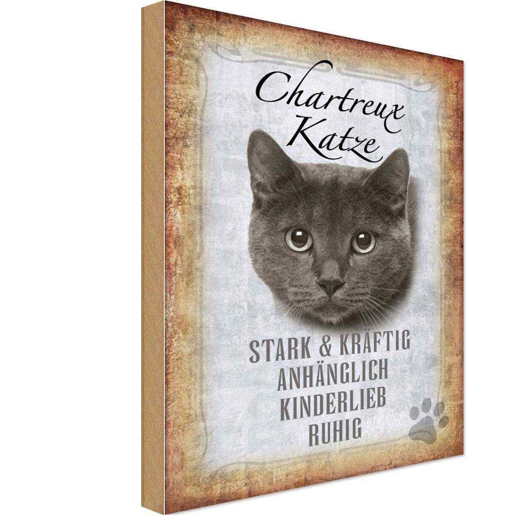 Holzschild 18x12 cm Chartreux Katze stark Tier Haustier