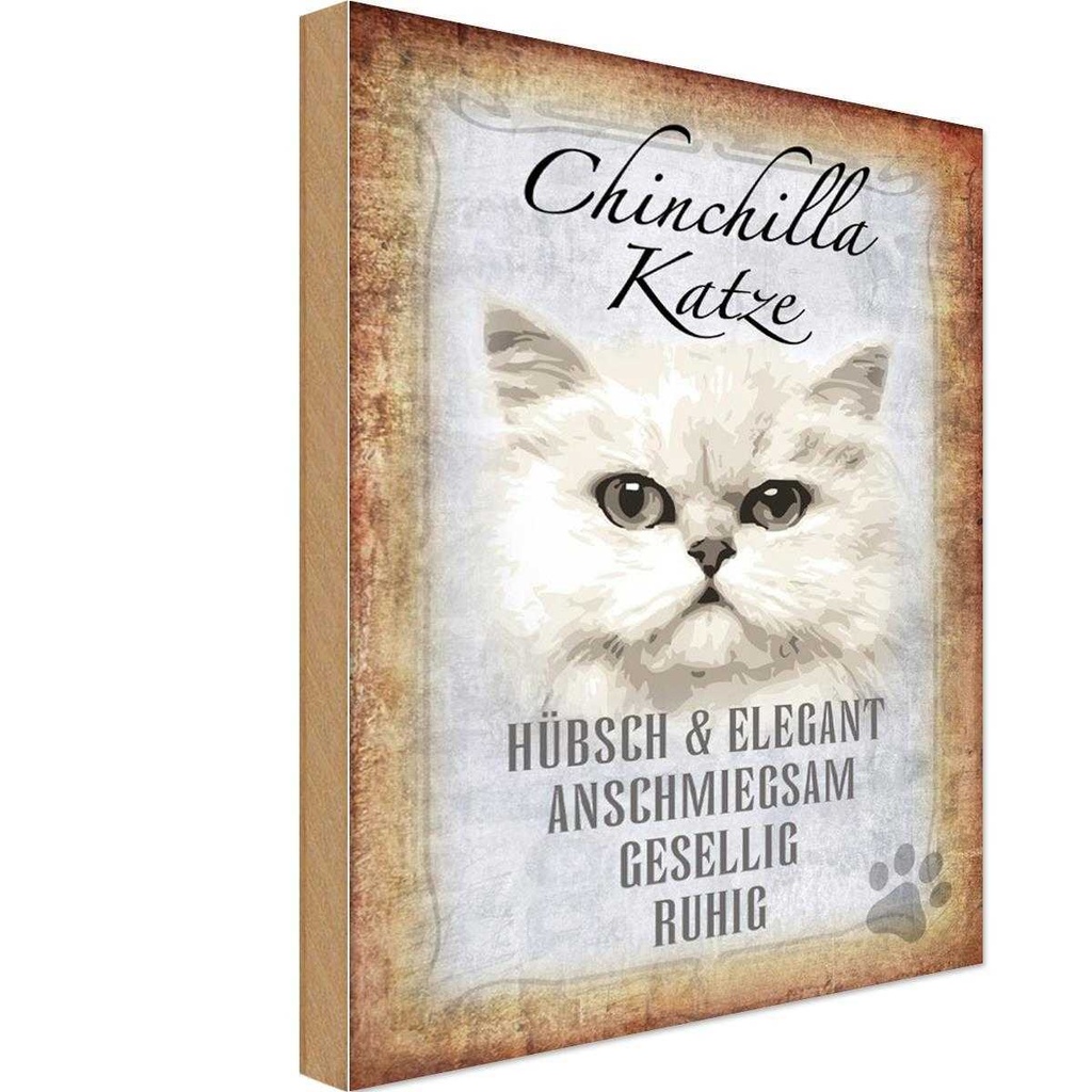 Holzschild 18x12 cm Chinchilla Katze hübsch elegant Tier Haustier