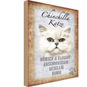Holzschild 18x12 cm Chinchilla Katze hübsch elegant Tier Haustier