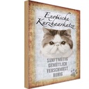 Holzschild 18x12 cm exotische Kurzhaarkatze Katze Tier Haustier
