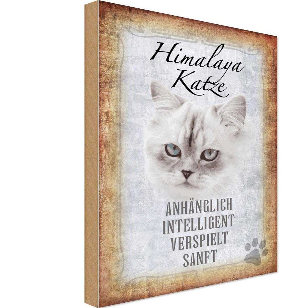 Holzschild 18x12 cm Himalaya Katze sanft Tier Haustier