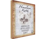 Holzschild 18x12 cm Himalaya Katze sanft Tier Haustier