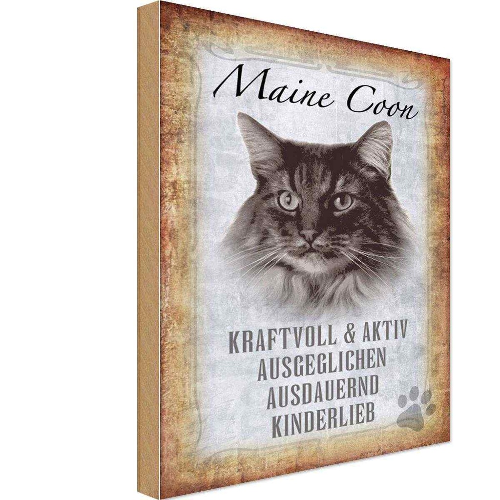 Holzschild 18x12 cm Maine Coon Katze aktiv Tier Haustier