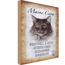 Holzschild 18x12 cm Maine Coon Katze aktiv Tier Haustier