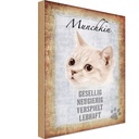 Holzschild 18x12 cm Munchkin Katze lebhaft Tier Haustier