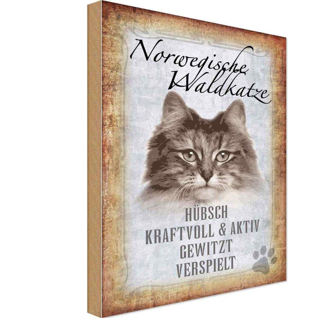 Holzschild 18x12 cm norvegische Waldkatze Katze Wanddeco Tier Haustier
