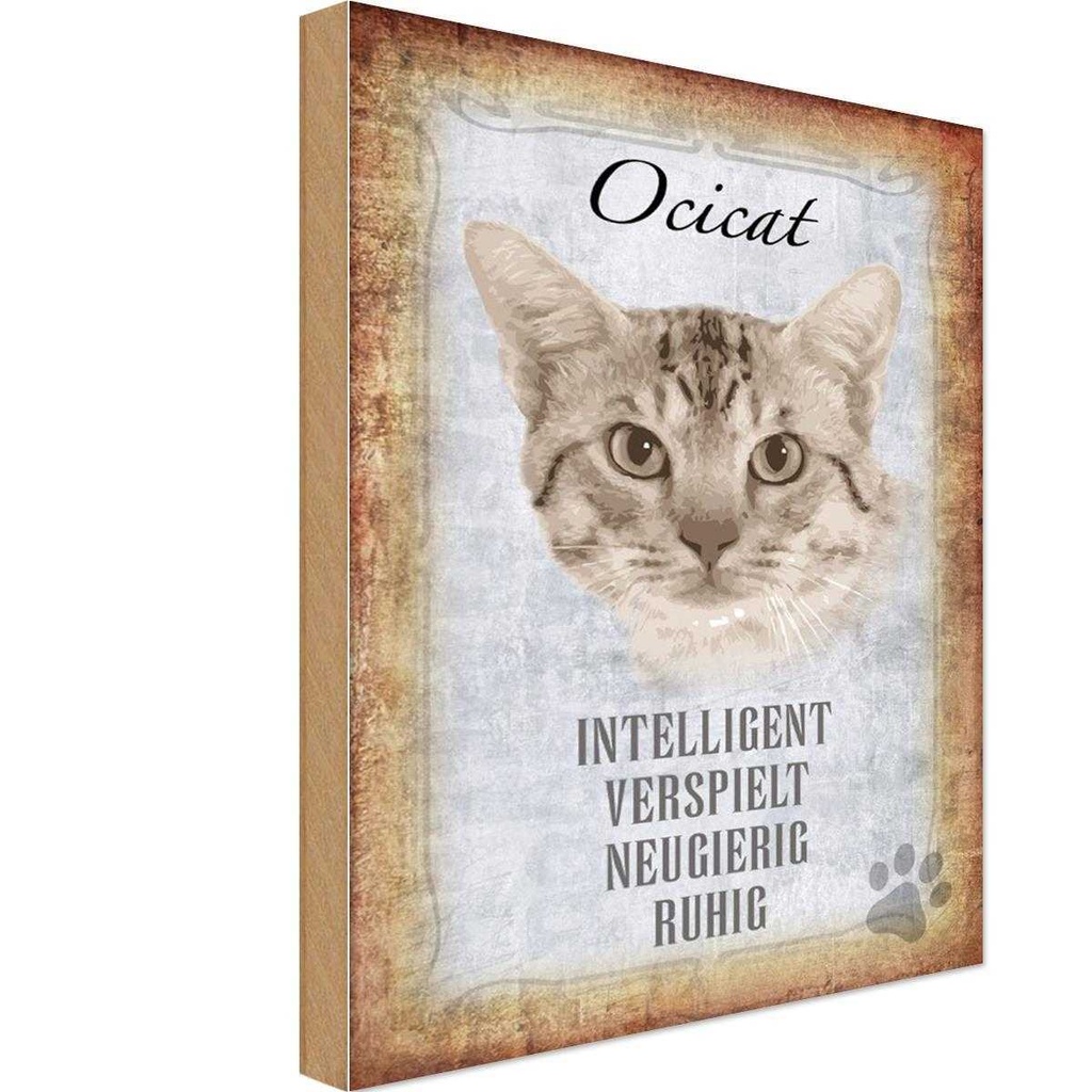 Holzschild 18x12 cm Ocicat Katze verspielt Tier Haustier