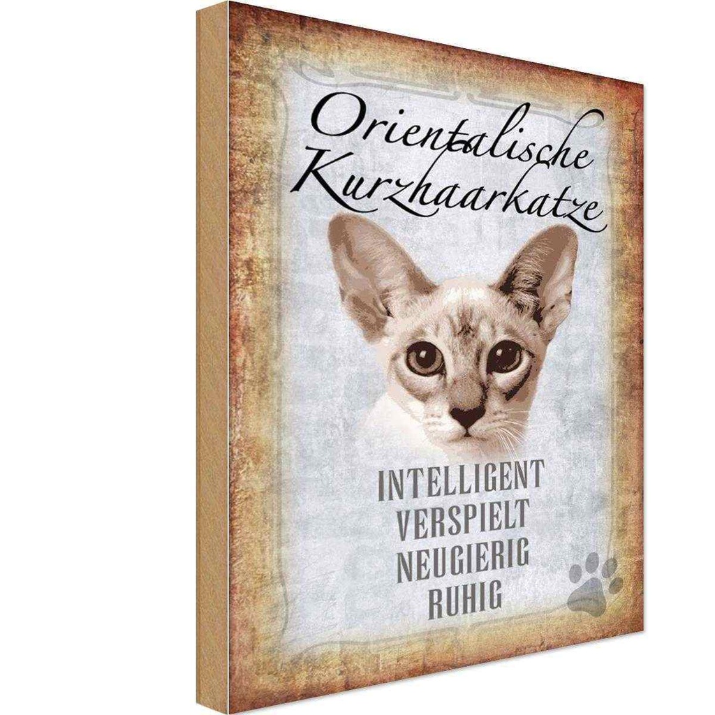 Holzschild 18x12 cm orientalische Kurzhaarkatze Tier Haustier
