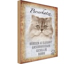 Holzschild 18x12 cm Perserkatze Katze hübsch Tier Haustier