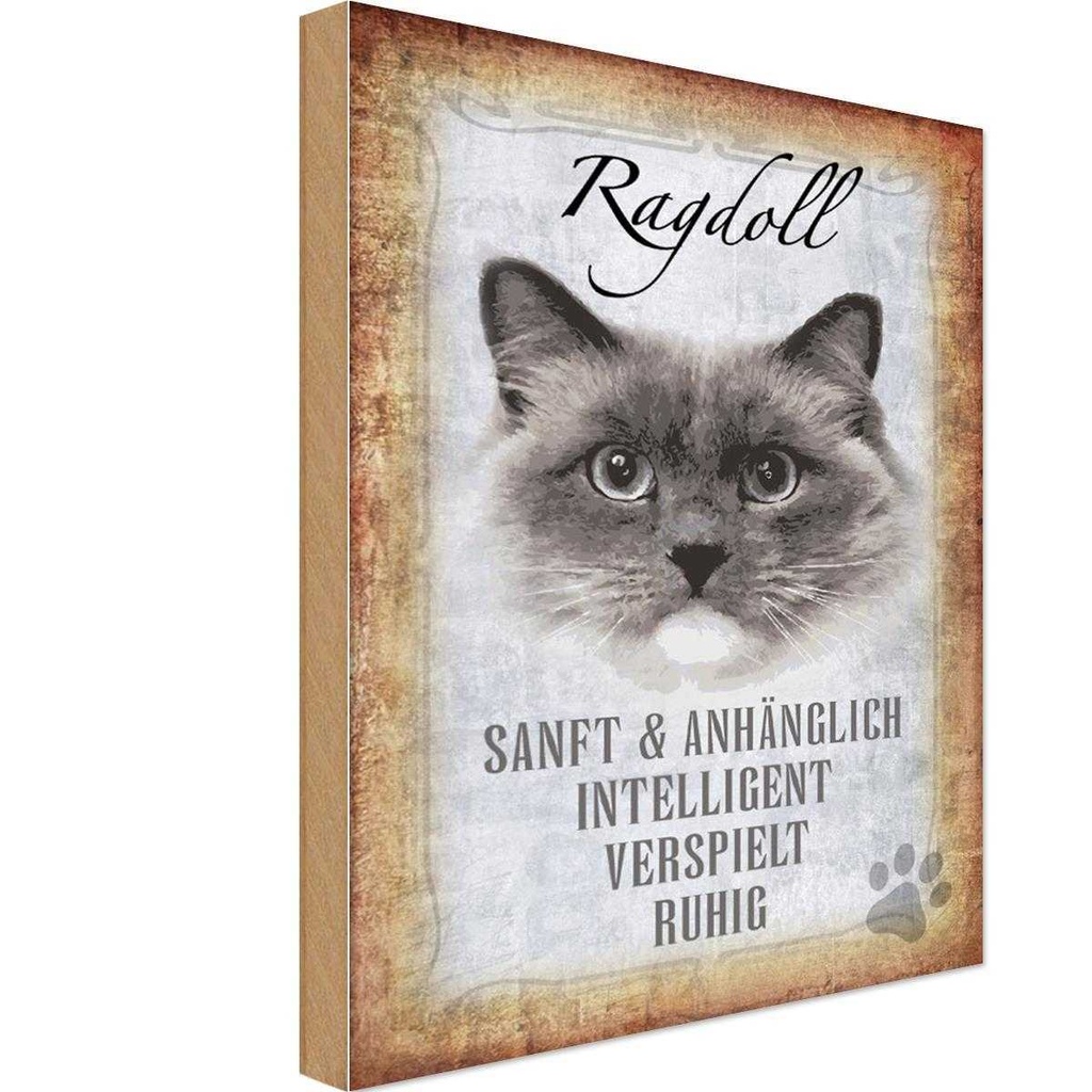 Holzschild 18x12 cm Ragdoll Katze sanft Tier Haustier