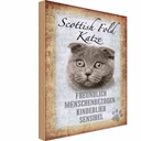 Holzschild 18x12 cm Scottish Fold Katze Tier Haustier