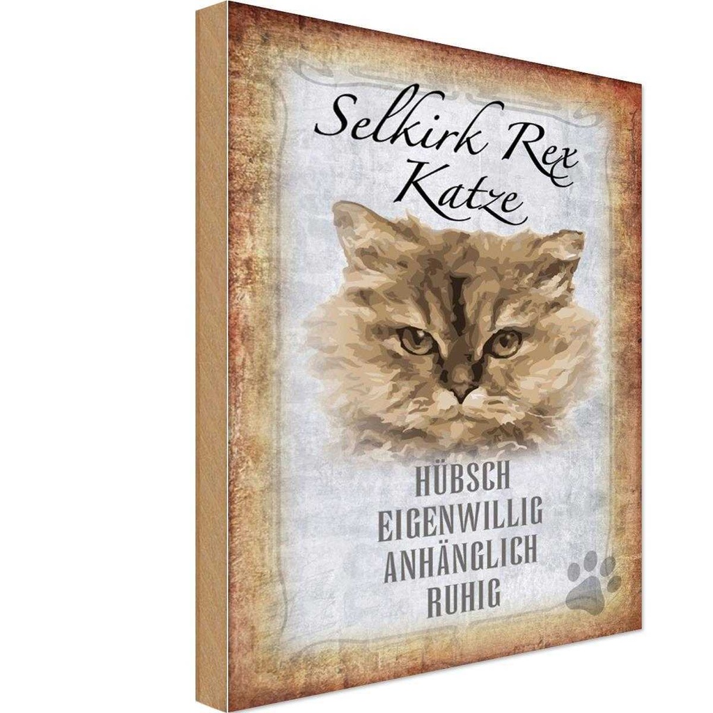 Holzschild 18x12 cm Selkirk Rex Katze ruhig Tier Haustier