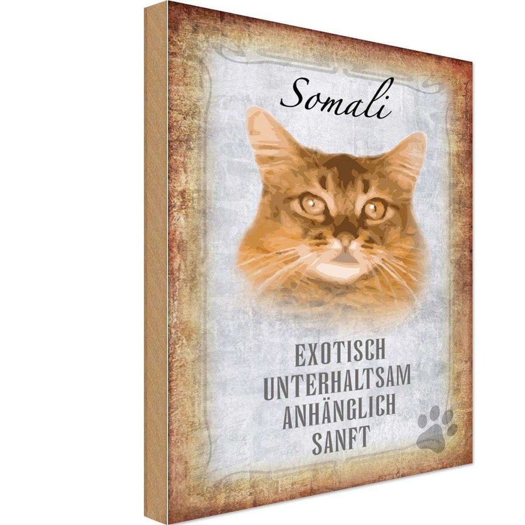 Holzschild 18x12 cm Somali Katze Tier Haustier