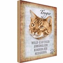 Holzschild 18x12 cm Toyger Katze Tier Haustier