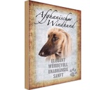 Holzschild 18x12 cm Afghanischer Windhund Hund Tier Haustier