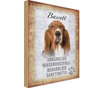 Holzschild 18x12 cm Bassett Hund Tier Haustier