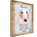 Holzschild 18x12 cm Borsoi Hund athletisch