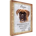 Holzschild 18x12 cm Boxer Hund intelligent Tier Haustier