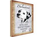 Holzschild 18x12 cm Dalmatiner Hund Tier Haustier