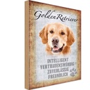 Holzschild 18x12 cm Golden Retriever Hund Tier Haustier