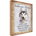 Holzschild 18x12 cm Siberian Husky Hund Tier Haustier