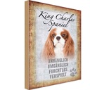 Holzschild 18x12 cm King Charles Spaniel Hund Tier Haustier