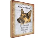 Holzschild 18x12 cm Schäferhund Hund Tier Haustier