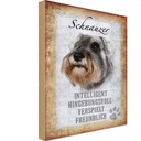 Holzschild 18x12 cm Schnauzer Hund Tier Haustier