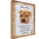 Holzschild 18x12 cm Shar Pei Hund Tier Haustier