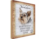 Holzschild 18x12 cm Yorkshire Hund Tier Haustier