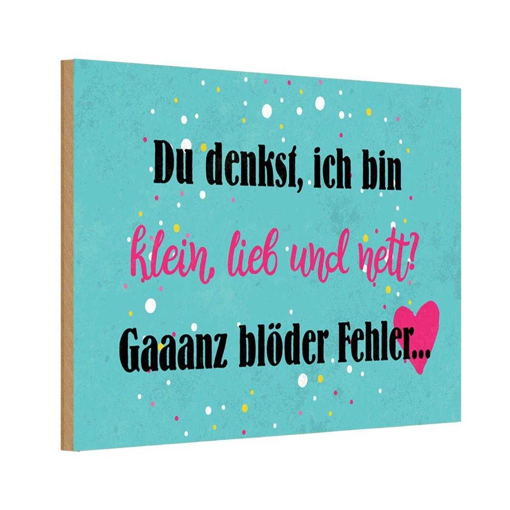 Holzschild 12x18 cm du denkst ich bin klein lieb Dekoration