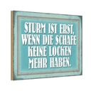 Holzschild 12x18 cm Sturm wenn Schafe keine Locken Dekoration