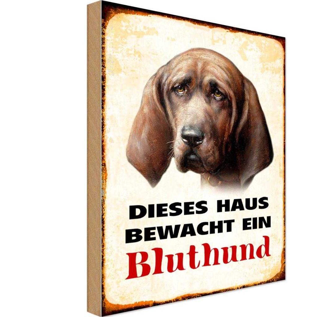 Holzschild 18x12 cm Hund dieses Haus bewacht ein Bluthund Tier Haustier