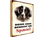 Holzschild 18x12 cm Hund dieses Haus bewacht ein Spaniel Tier Haustier