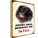 Holzschild 18x12 cm Hund dieses Haus bewacht ein Setter Tier Haustier
