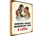 Holzschild 18x12 cm Hund dieses Haus bewacht ein Collie Tier Haustier