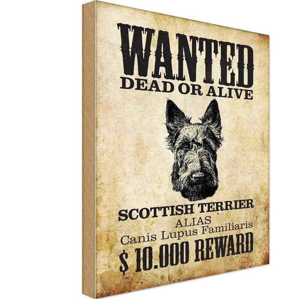 Holzschild 18x12 cm Hund wanted Scottish Terrier Tier Haustier