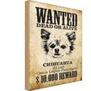 Holzschild 18x12 cm Hund wanted Chihuahua Alias Tier Haustier
