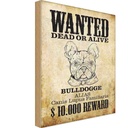 Holzschild 18x12 cm Hund wanted dead Bulldogge Alias Tier Haustier
