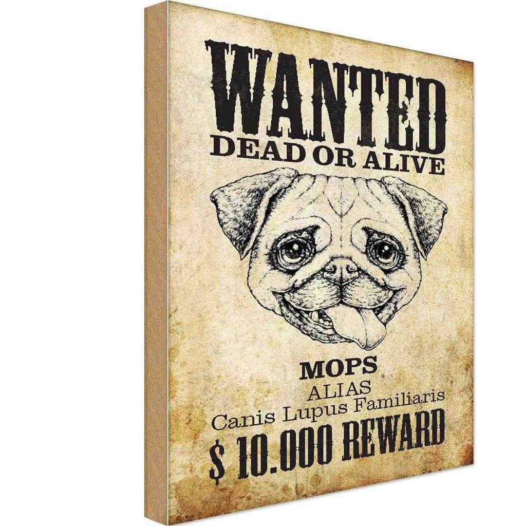Holzschild 18x12 cm Hund wanted dead Mops Alias Tier Haustier