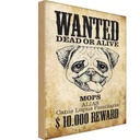 Holzschild 18x12 cm Hund wanted dead Mops Alias Tier Haustier