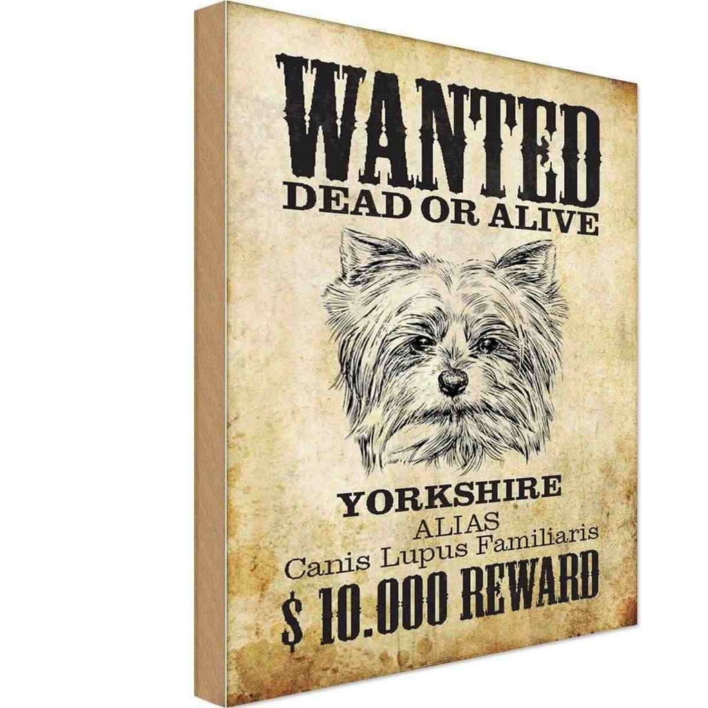 Holzschild 18x12 cm Hund wanted dead Yorkshire Tier Haustier