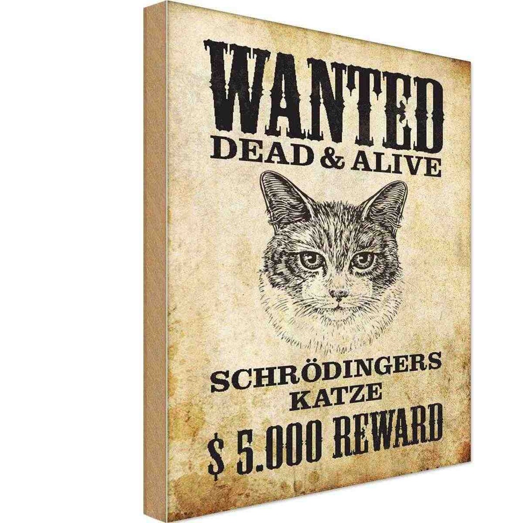 Holzschild 18x12 cm Tiere wanted Schrödingers Katze Tier Haustier