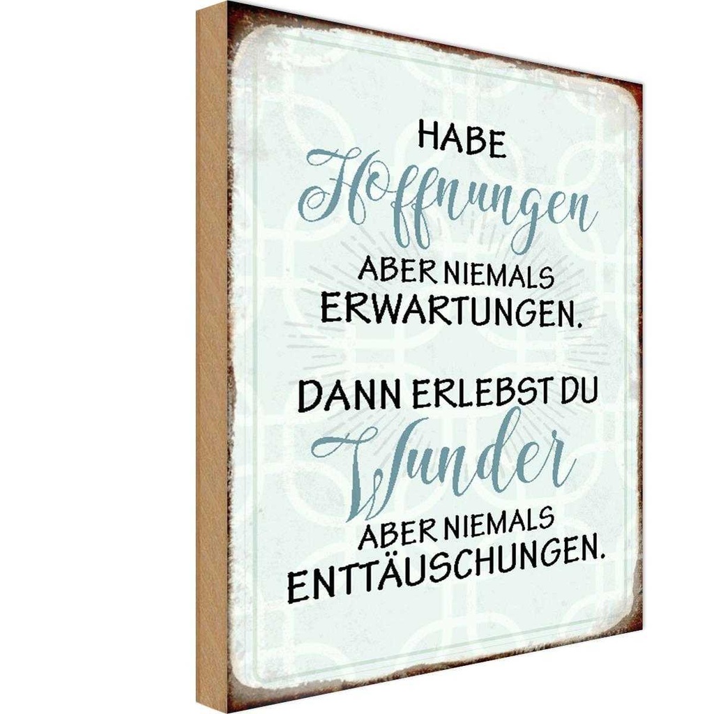 Holzschild 18x12 cm habe Hoffnungen nie Erwartungen Spruch Zitat