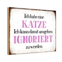 Holzschild 12x18 cm habe Katze kann ignoriert werden Spruch Zitat