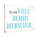 Holzschild 12x18 cm ich sehe viele dumme Menschen Dekoration
