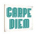 Holzschild 12x18 cm carpe diem nutze dein Tag Spruch Zitat