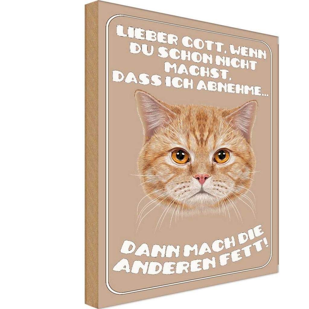 Holzschild 18x12 cm Katze lieber Gott wenn du schon nicht Tier Haustier