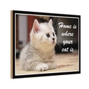 Holzschild 12x18 cm Katze Home is where your cat Tier Haustier