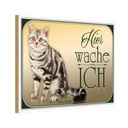 Holzschild 12x18 cm Katze American Shorthair hier wache Tier Haustier